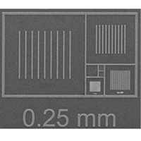 Pelcotec™ CDMS-0.1C,特征尺寸放大倍率标样,2mm-100nm,已认证
